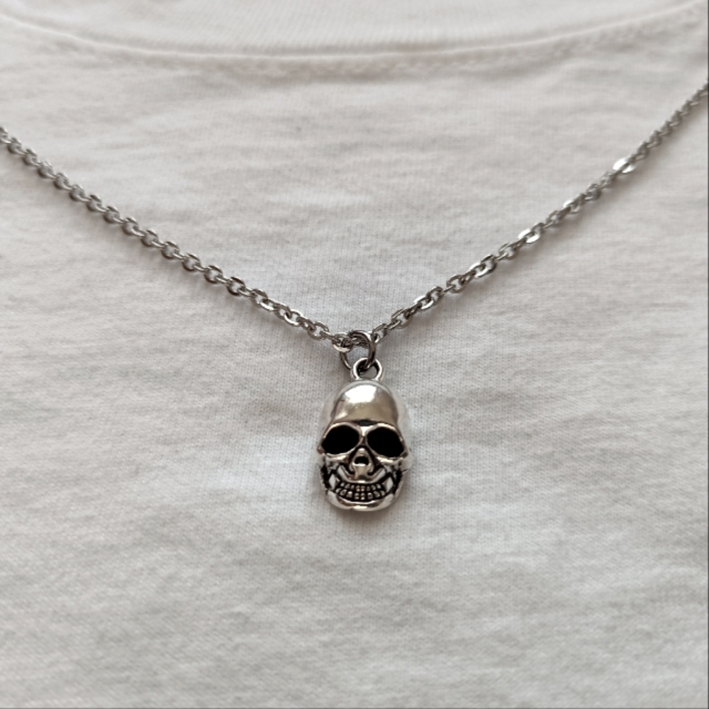 Skull Necklace Stainless Steel 20 Inches Vintage Style Gothic